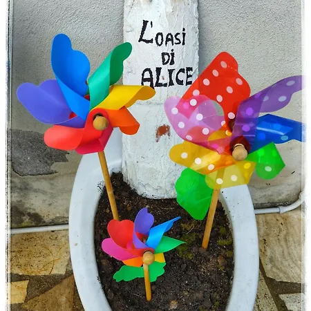 L'oasi Di Alice